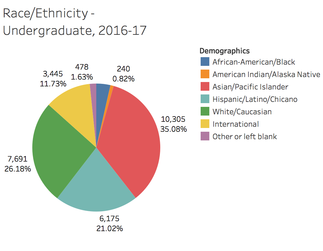 United States Ethnicity Pie Chart 2016