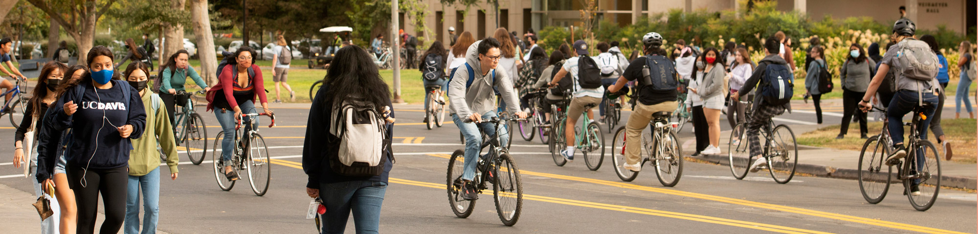 Bustling campus with during the daytime with bicycles and people walking..