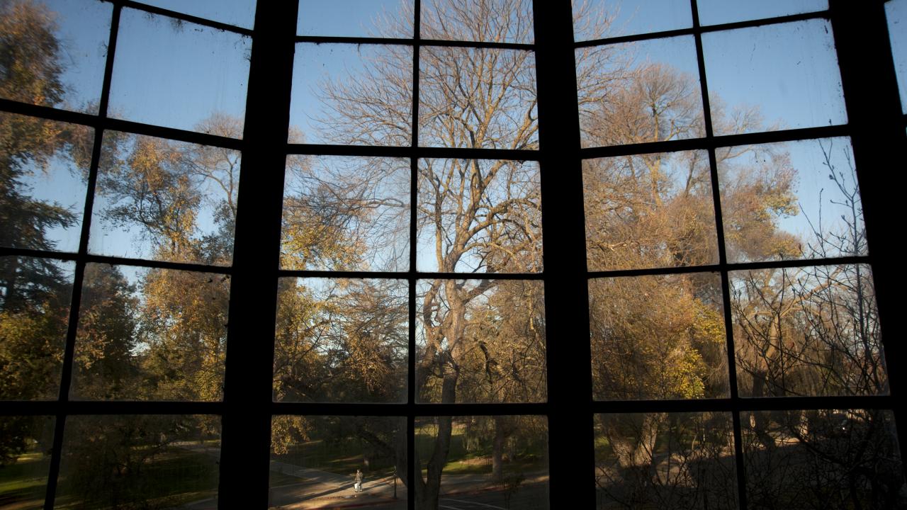 When More Than Half Of Law Graduates Fail The California Bar - 
