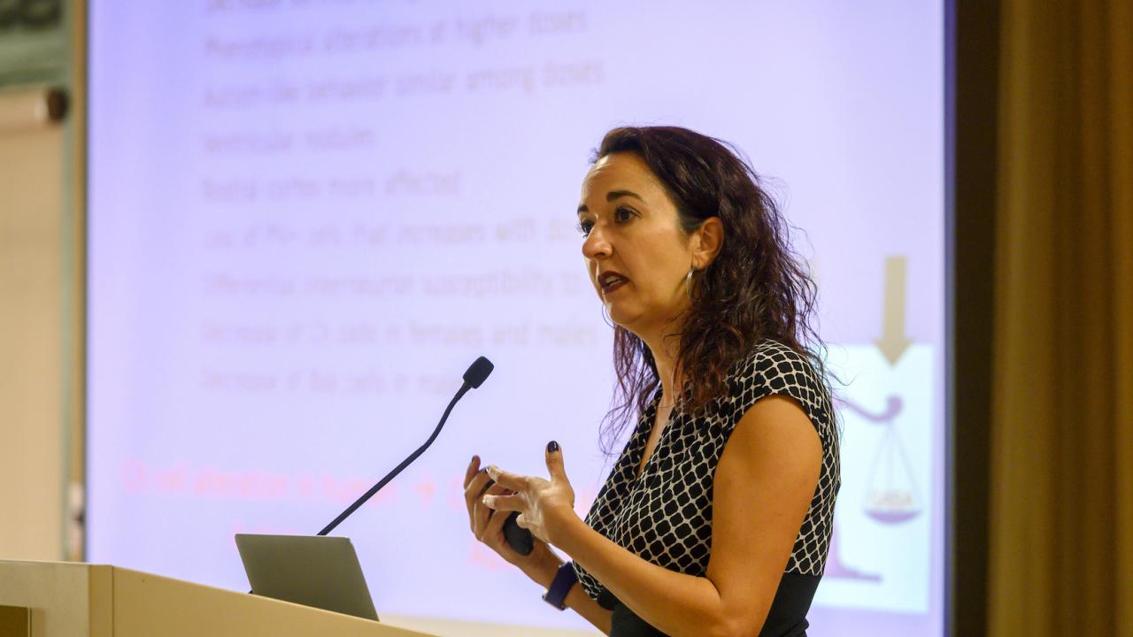 Professor Martínez-Cerdeño gives a lecture