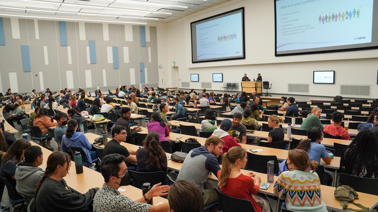 A group of student teaching assistance in a classroom