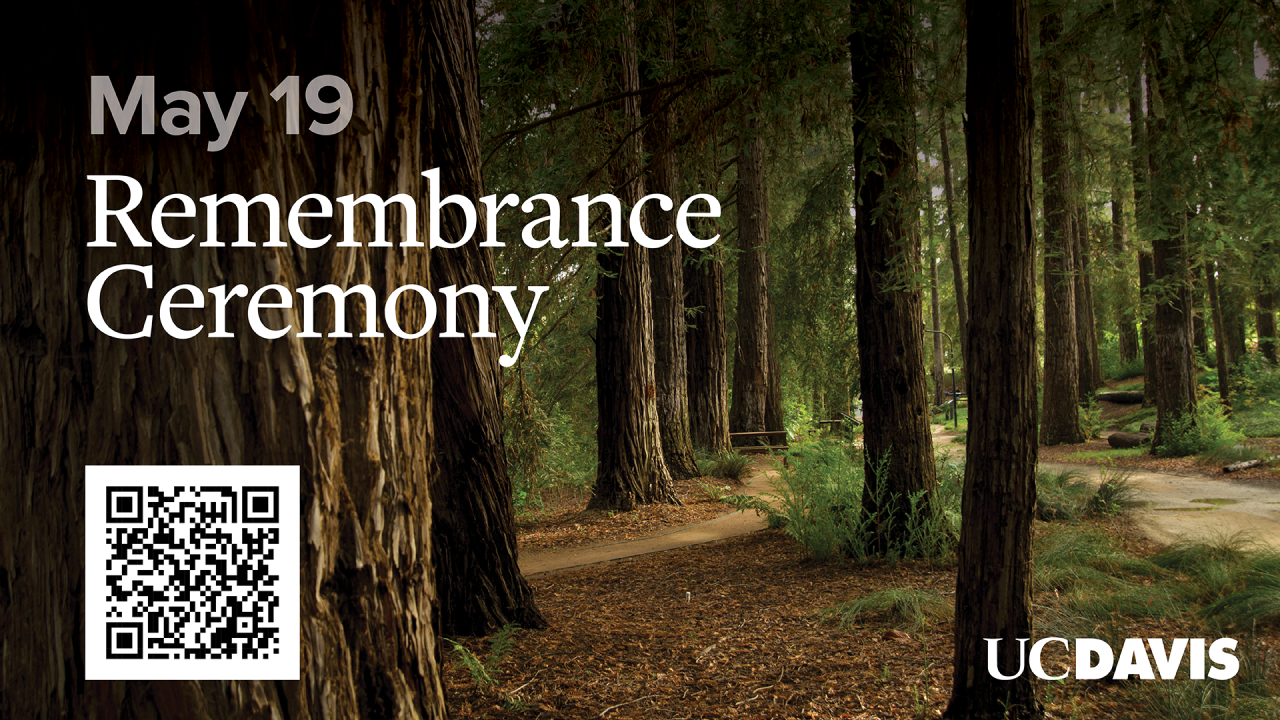 2025 rememberance LCD 1920x1080.png