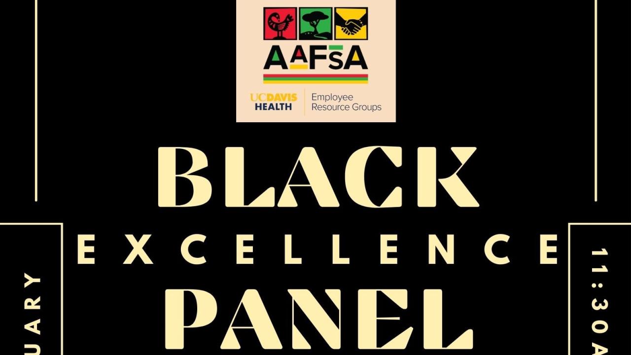 Black Excellence Panel