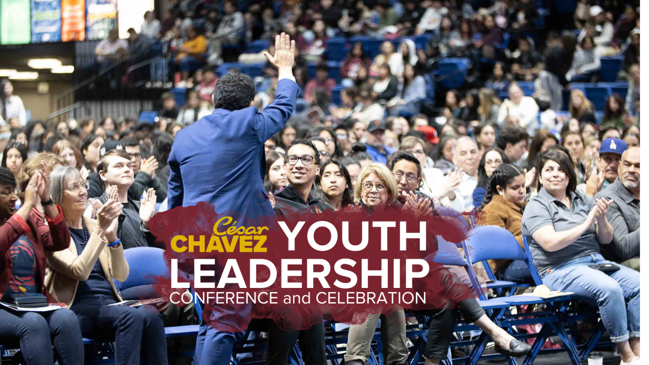 CCYLC 2025 Article Graphic