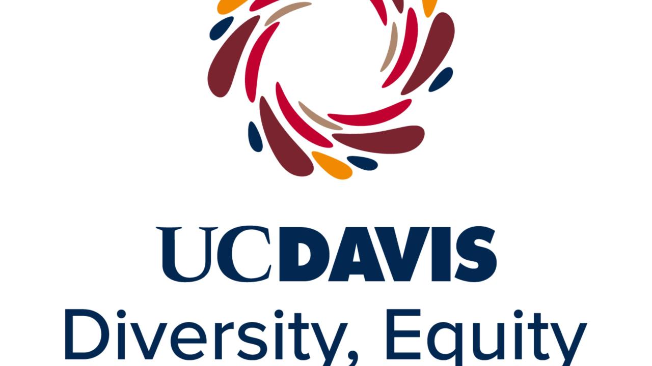DEI Logo