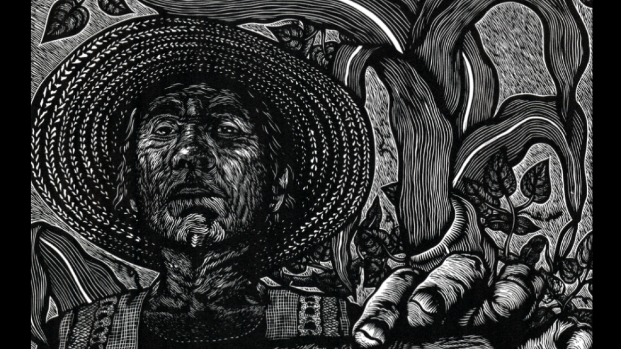 Raíces en Papel: Voces de Oaxaca