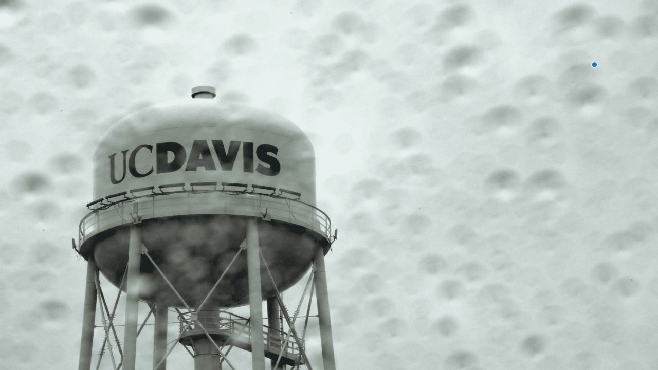 UC Davis