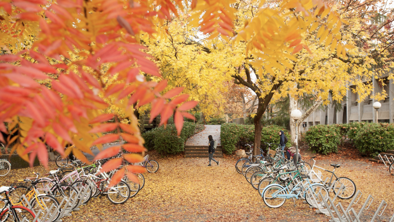 A vibrant autumn scene on a university campus, with bicycles parked in racks beneath trees covered in golden yellow and red leaves. Fallen leaves carpet the ground as two people walk along a path surrounded by lush greenery and modern campus buildings.