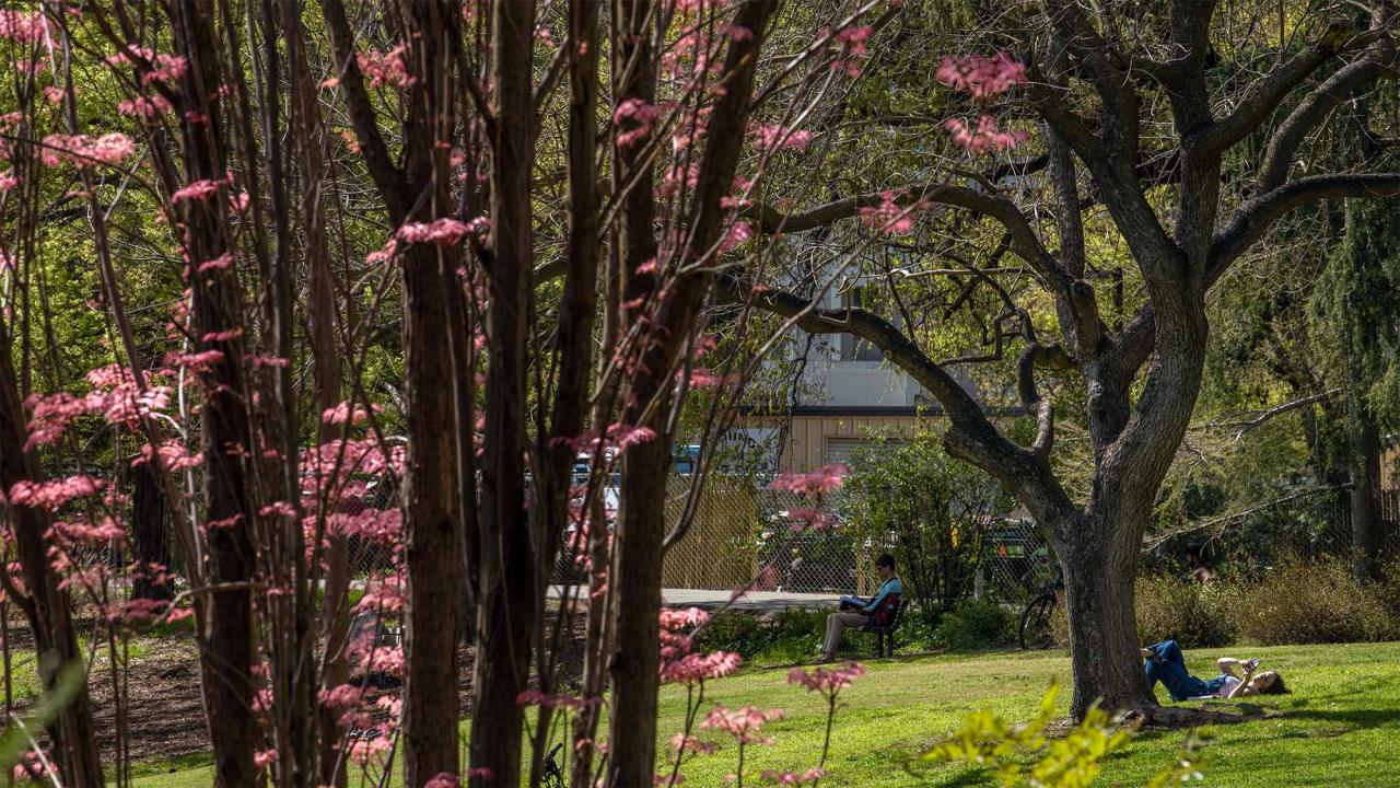 Two people seated in UC Davis arboretum in the spring.