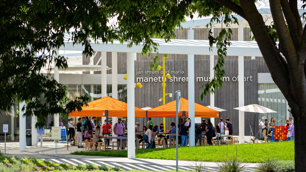 manetti shrem