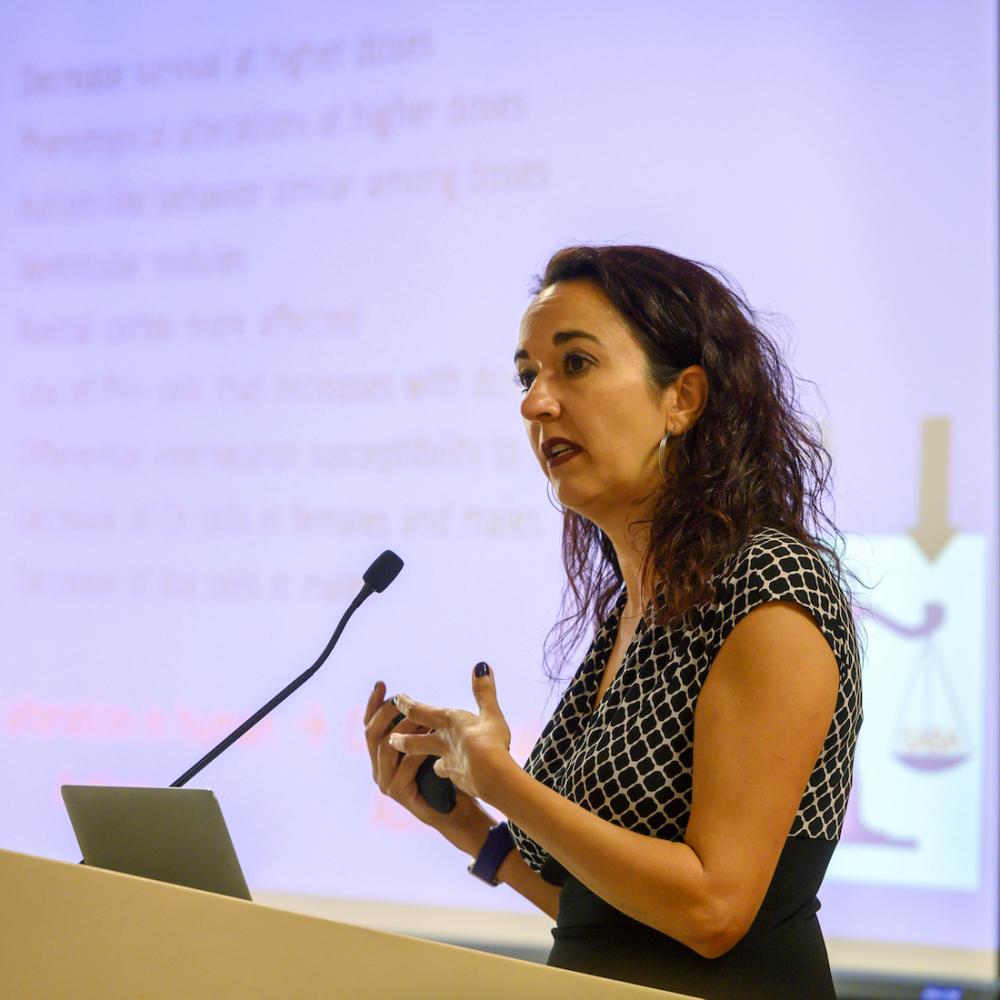 Professor Martínez-Cerdeño gives a lecture