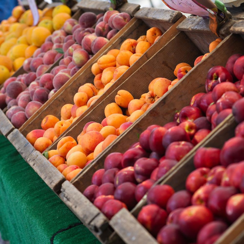 A market stall with wooden crates displaying yellow peaches, pinkish-red peaches, apricots, and red plums.
