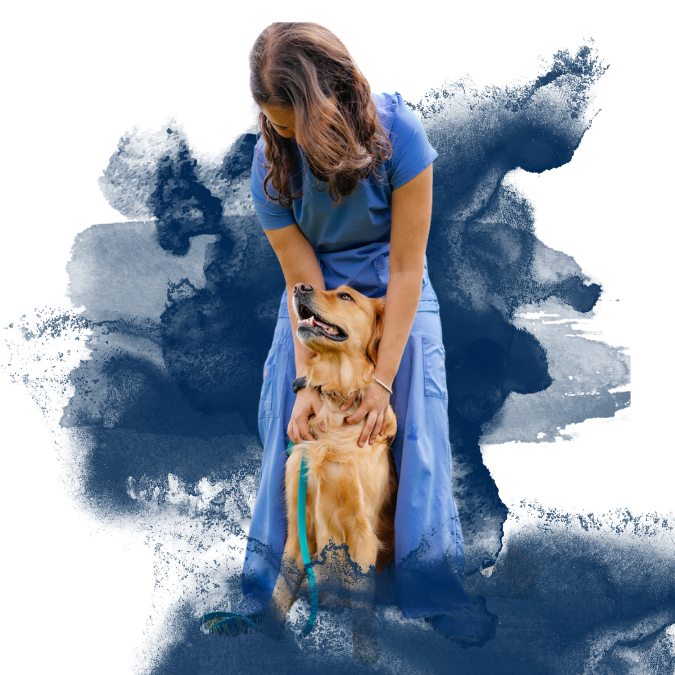 Person in blue scrubs lovingly holding a golden retriever against a watercolor background.