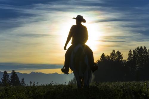 Cowboy riding across grassland with mountains behind, early morning