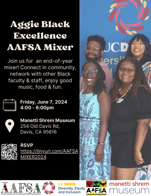 Flyer for AAFSA Mixer 2024