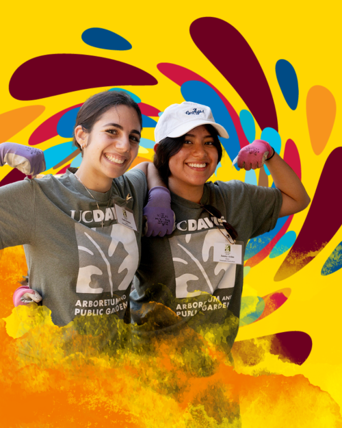 Two smiling individuals wearing "UC DAVIS ARBORETUM AND PUBLIC GARDEN" t-shirts and purple gloves against a colorful abstract background.