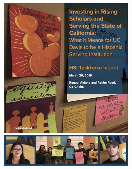 HSI Task Force report Cover
