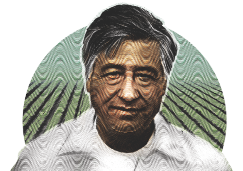 Illustrated portrait of Cesar Chavez with field behind him