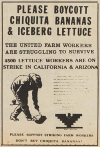 PLEASE BOYCOTT CHIQUITA BANANAS & ICEBERG LETTUCE THE UNITED FARM WORKERS ARE STRUGGLING TO SURVIVE