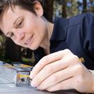 Professor Felicity Muth working with bees in the field