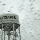UC Davis