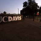 Evening scene at UC Davis with a large "UC DAVIS" sign and a person walking on the sidewalk.