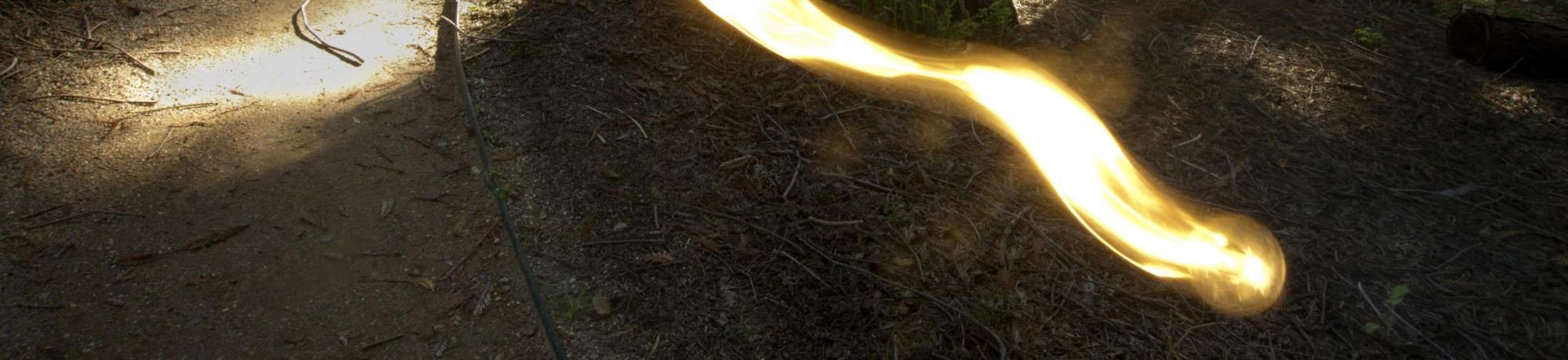 banner image