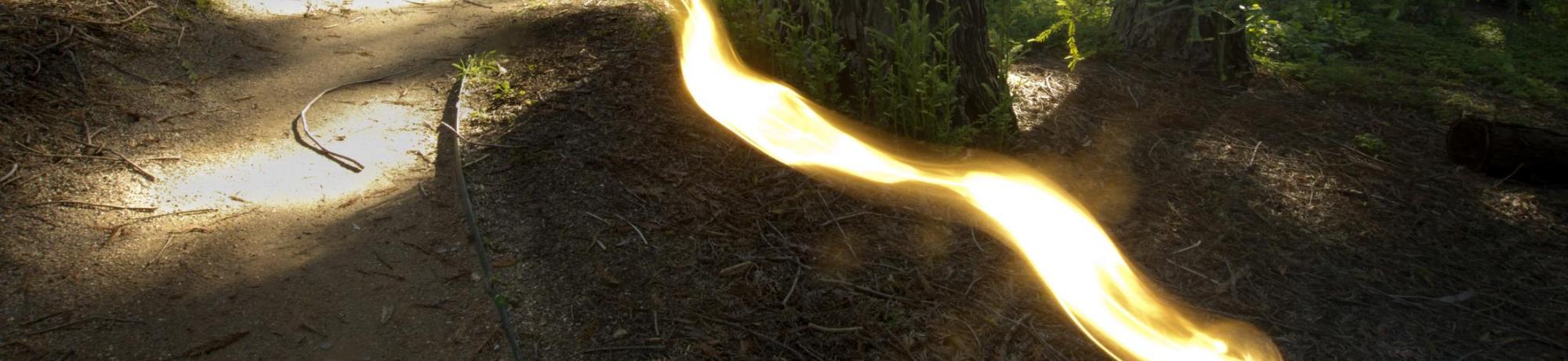 banner image