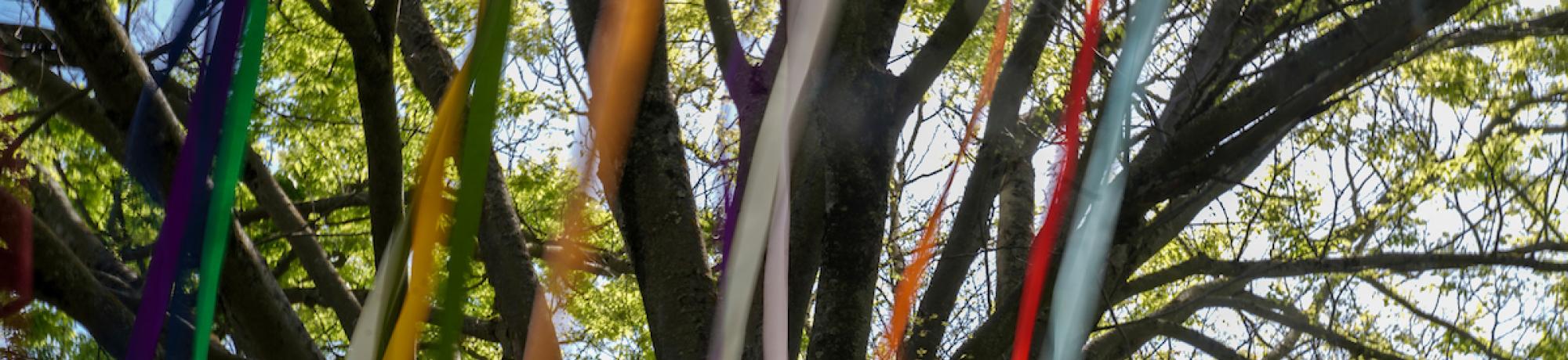 ribbons hang from the branches of a tree
