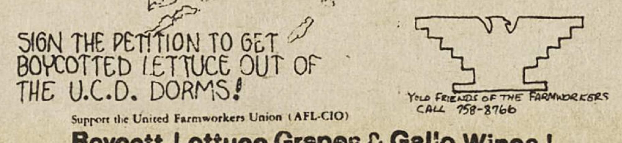 Advert to SIGqN THE PErTiON TO GET BOYCOTTED LETTUCE OUT OF THE U.C.D. DORMS!