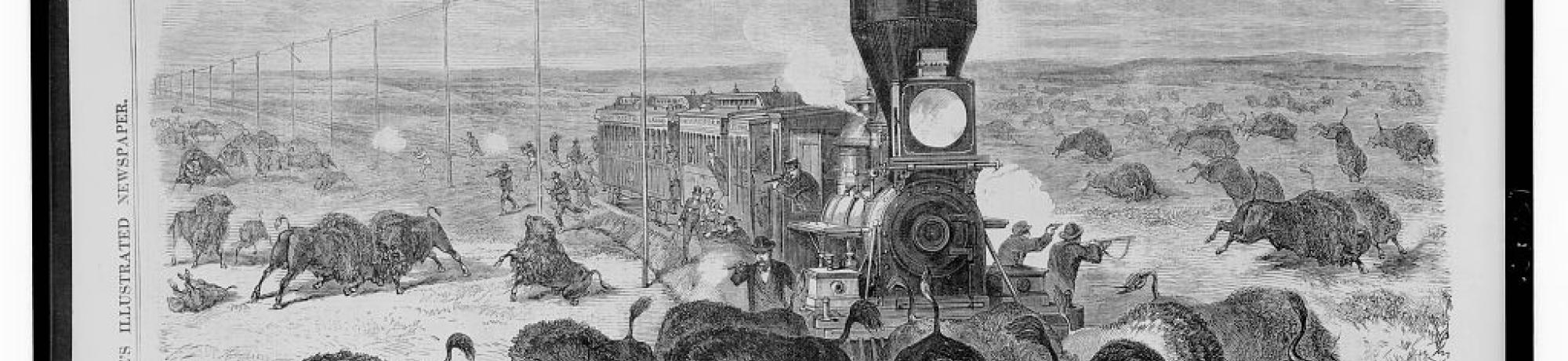 Railroad travelers shooting buffalo from a train on the Kansas-Pacific Railroad (1871). Library of Congress Prints and Photographs Division Washington